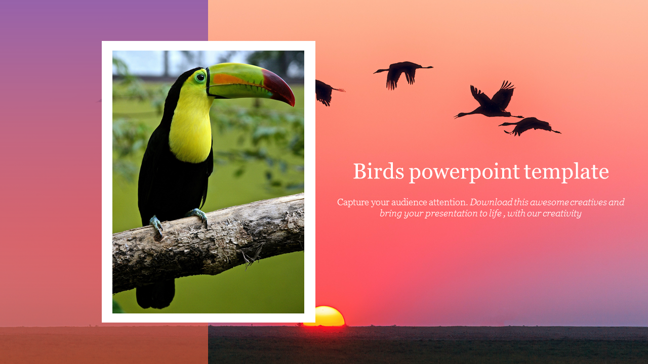 Birds powerpoint template 